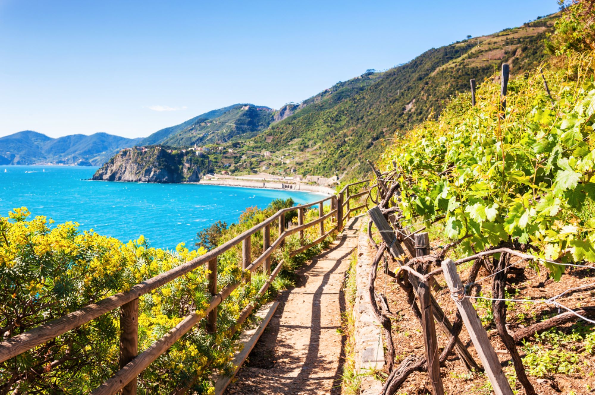 vista di corniglia