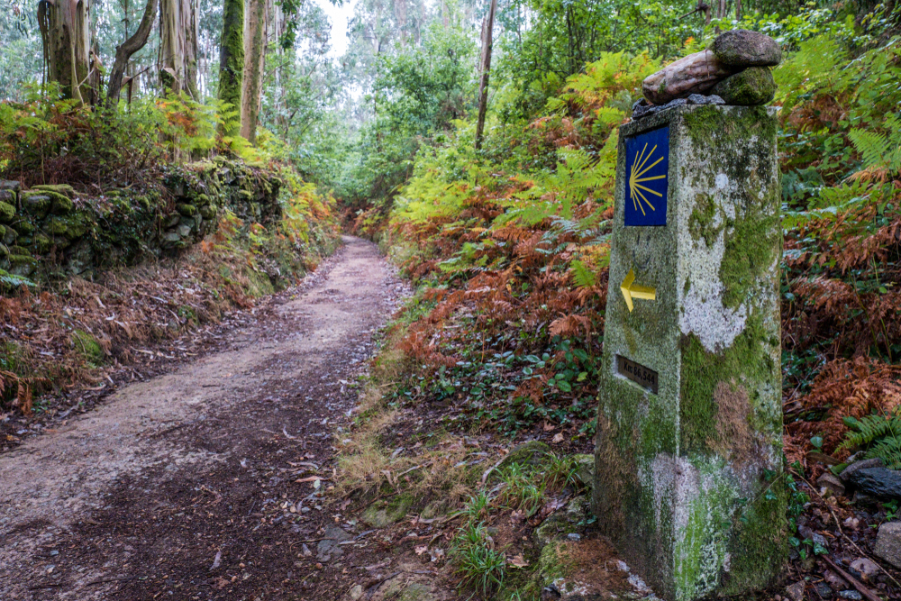 chemin de Saint-Jacques de Compostelle